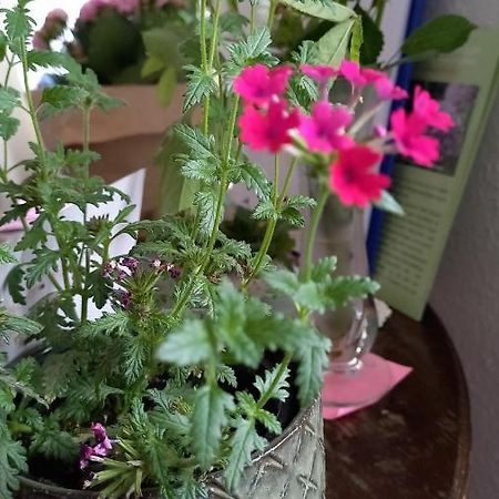 Agnes Vintage Home 汉诺威 外观 照片