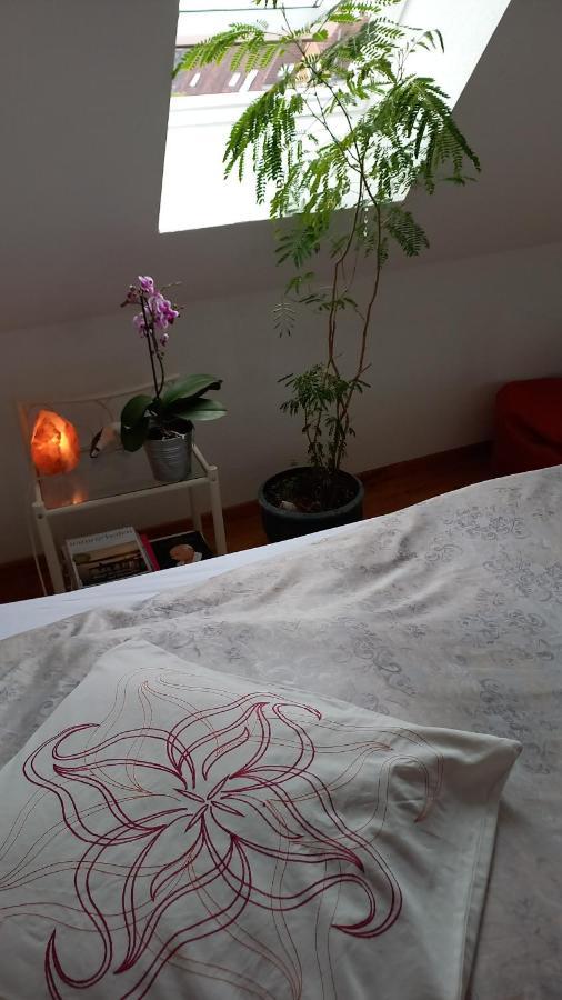 Agnes Vintage Home 汉诺威 外观 照片
